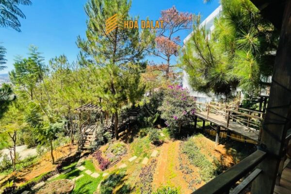 Không gian riêng tư và thoáng mát với khu vườn nhiều cây cối villa HDL 05